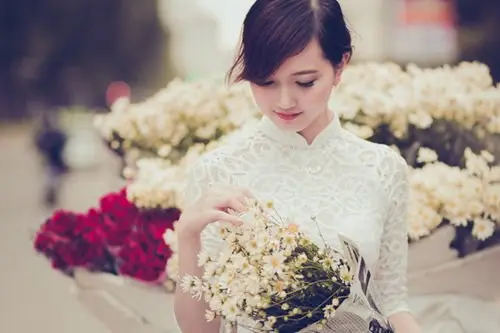 Hà Nội đầu đông ngập tràn trong sắc hoa cúc họa mi