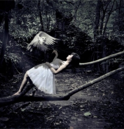 Bộ sưu tập những bức hình nghệ thuật đắt giá