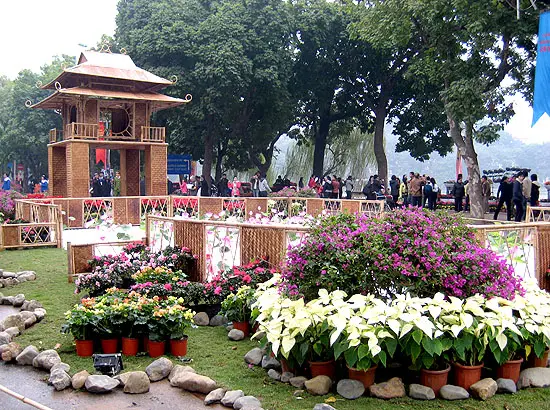 hinh-thien-nhien-mua-xuan-14