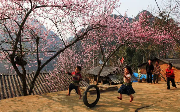 hinh-thien-nhien-mua-xuan-3