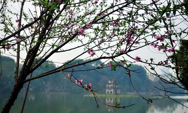 hinh-thien-nhien-mua-xuan-4