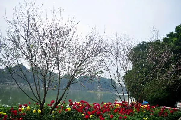 hinh-thien-nhien-mua-xuan-6