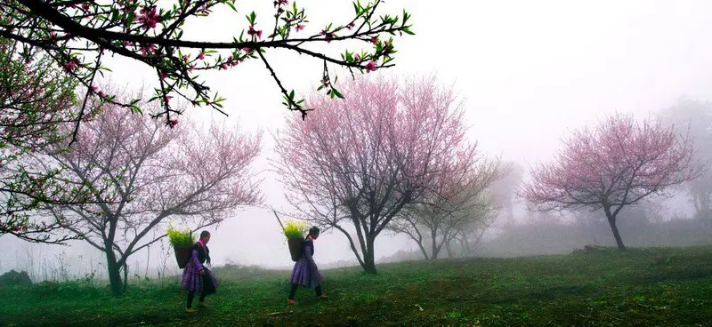 hinh-thien-nhien-mua-xuan