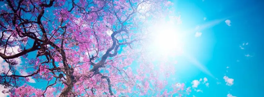 1-so-anh-bia-Facebook-dep-2