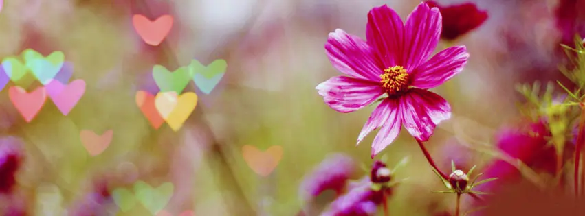 1-so-anh-bia-Facebook-dep-4