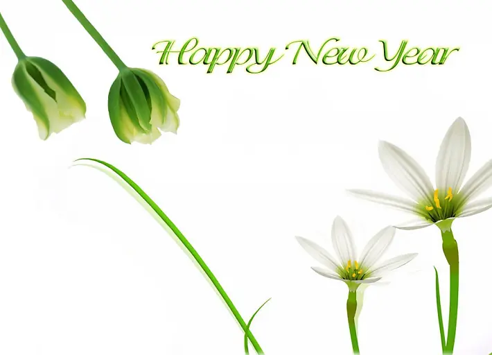 10-hinh-nen-deo-nhat-dip-tet-2016-11