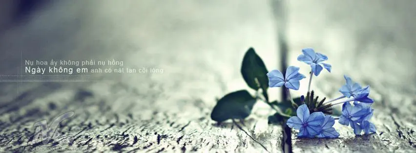 anh bia buon cho Facebook-5