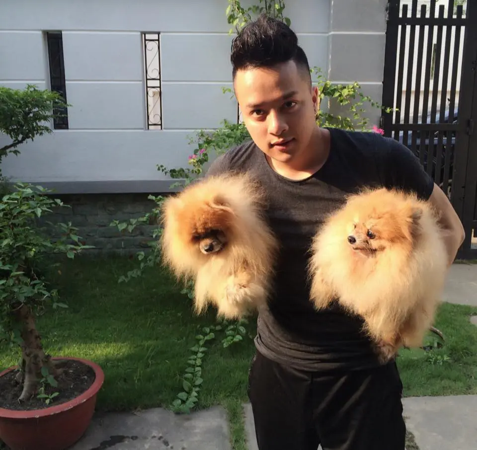 Hình ảnh thú cưng của sao Việt