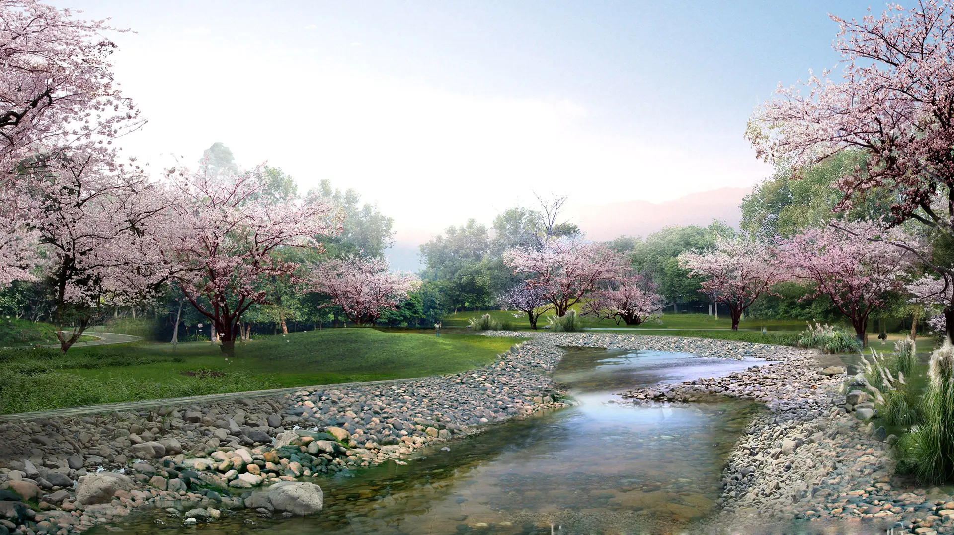 hinh-nen-hoa-anh-dao-7