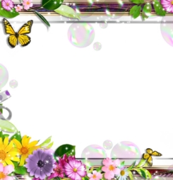 13 khung hình đẹp dễ thương để ghép ảnh và đẹp nhất