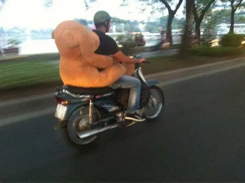 top-10-hinh-anh-hai-huoc-nhat 1