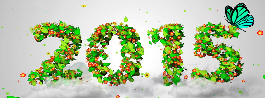 12-anh-bia-cho-facebook-dep-don-tet-binh-than-5