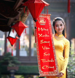 Cài hình nền đẹp đón xuân cho điện thoại, cho dế yêu