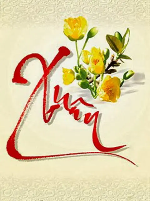 50 hình chữ thư pháp xuân ý nghĩa, thư pháp chúc mừng năm mới