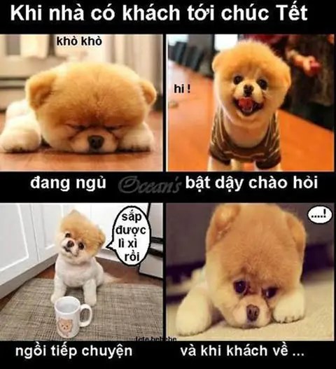 cuoi-that-phanh-voi-anh-che-ngay-tet-chi-co-o-viet-nam-10