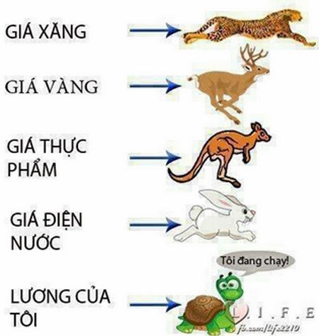 cuoi-that-phanh-voi-anh-che-ngay-tet-chi-co-o-viet-nam-7
