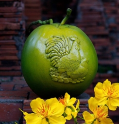 30+ hình avata cực độc đón tết Nguyên Đán, hình chúc tết 3D đẹp hinh-anh-chuc-tet-trai-dua-3d-hinh-con-ga-trong