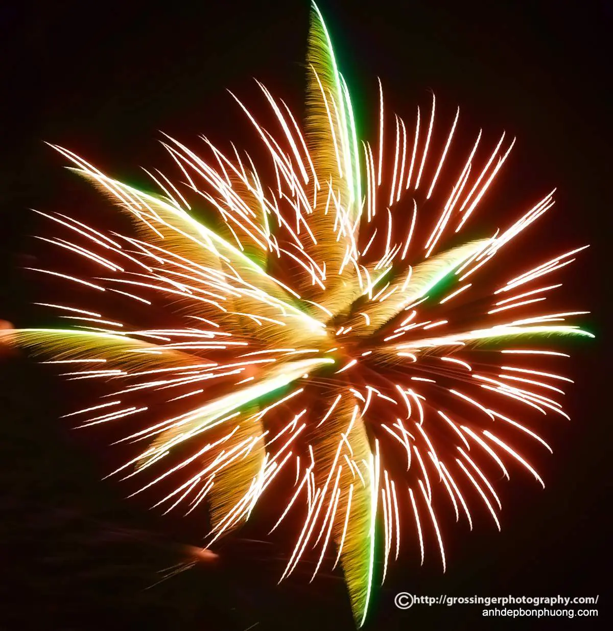 hinh-anh-ban-phao-hoa-dem-giao-thua