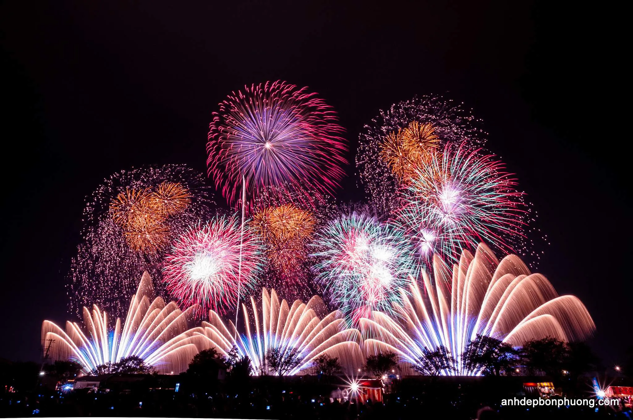 hinh-anh-ban-phao-hoa-dep-nhat