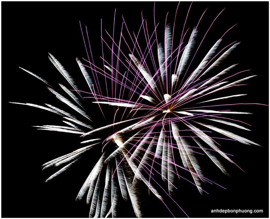 hinh-anh-ban-phao-hoa