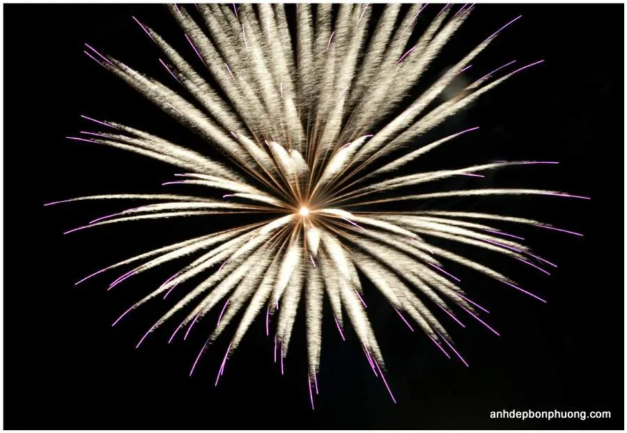 hình ảnh pháo hoa đẹp nhất thế giới