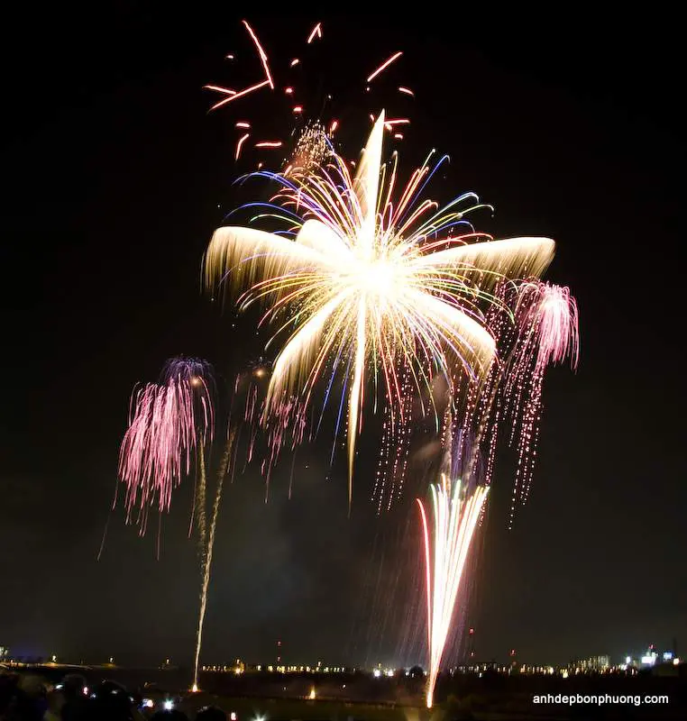 hinh-nen-phao-hoa-cho-dien-thoai