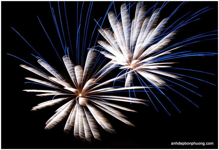 hinh-phao-hoa-ngay-tet