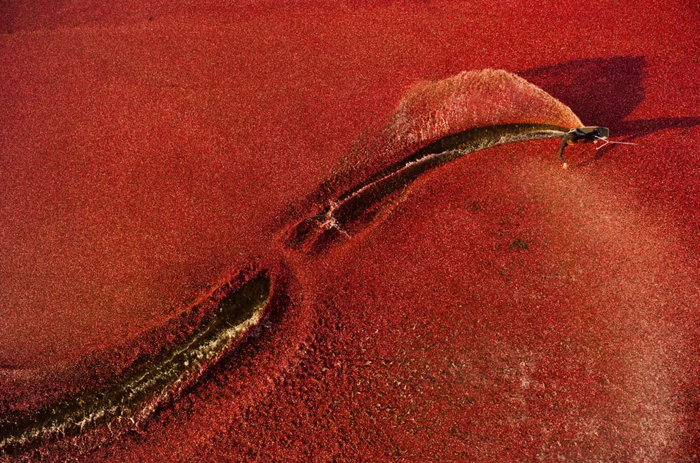 tai-mien-phi-10-anh-the-thao-lam-hinh-nen-may-tinh-dep-het-say-9