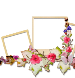 Tải miễn phí 11 khung hình ghép ảnh đẹp nhất