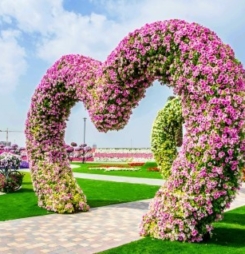 10 Hình hoa đẹp để làm hình nền