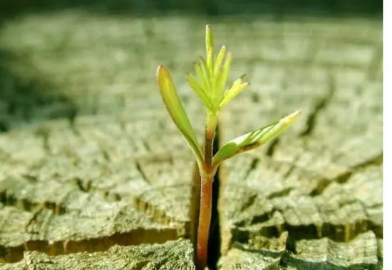 12-hinh-nghe-thuat-khien-ban-phai-suy-ngam-ve-cuoc-song-4