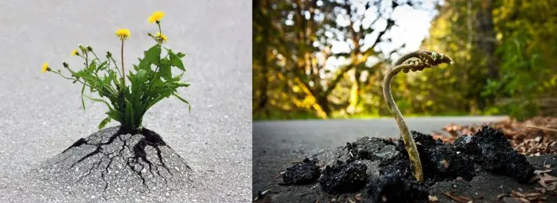 12-hinh-nghe-thuat-khien-ban-phai-suy-ngam-ve-cuoc-song-5