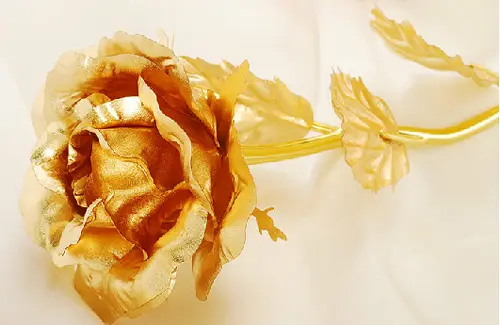 tai-mien-phi-10-hinh-hoa-hong-dep-10