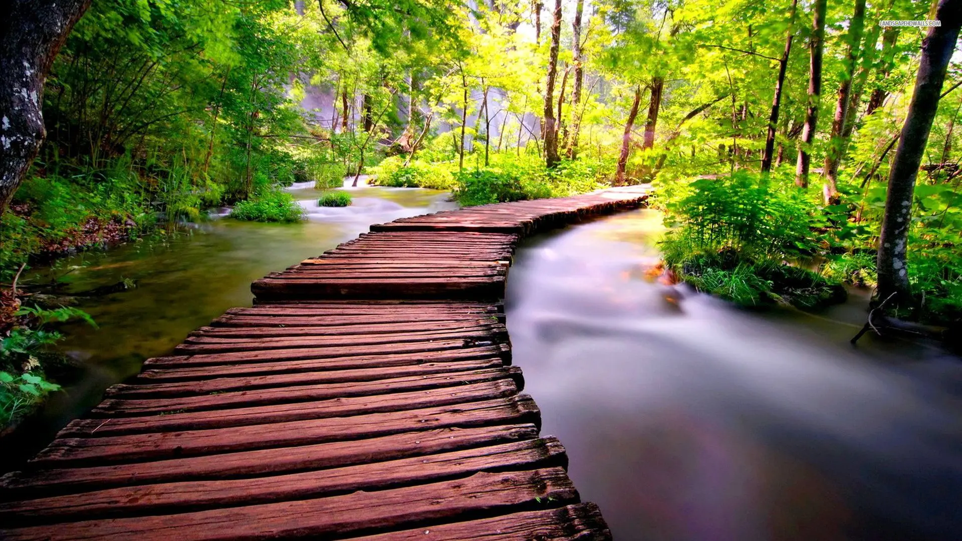 tai-mien-phi-10-hinh-thien-nhien-full-hd-lam-hinh-nen-2