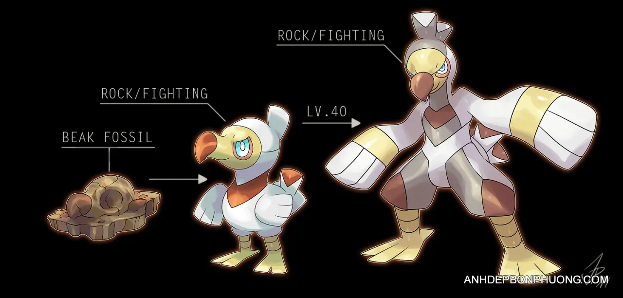 hinh-anh-su-tien-hoa-cua-pokemon-5