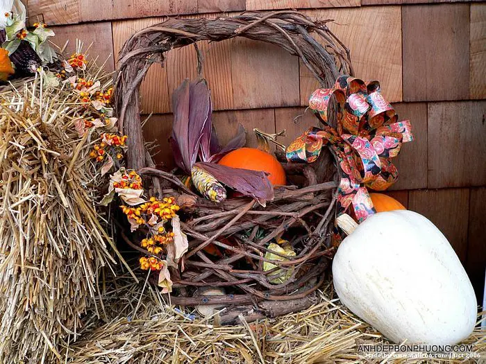 do-trang-tri-halloween-gia-tot-nhat