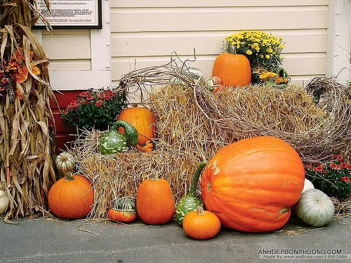 hinh-anh-cach-trang-tri-cho-halloween