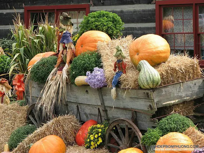 mua-do-trang-tri-halloween-o-dau