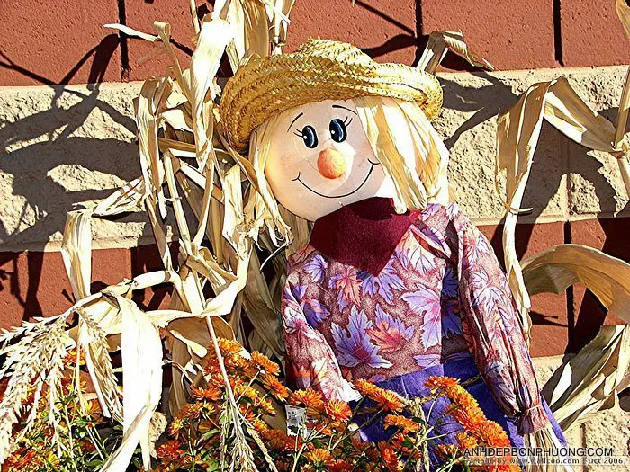 trang-tri-halloween-handmade