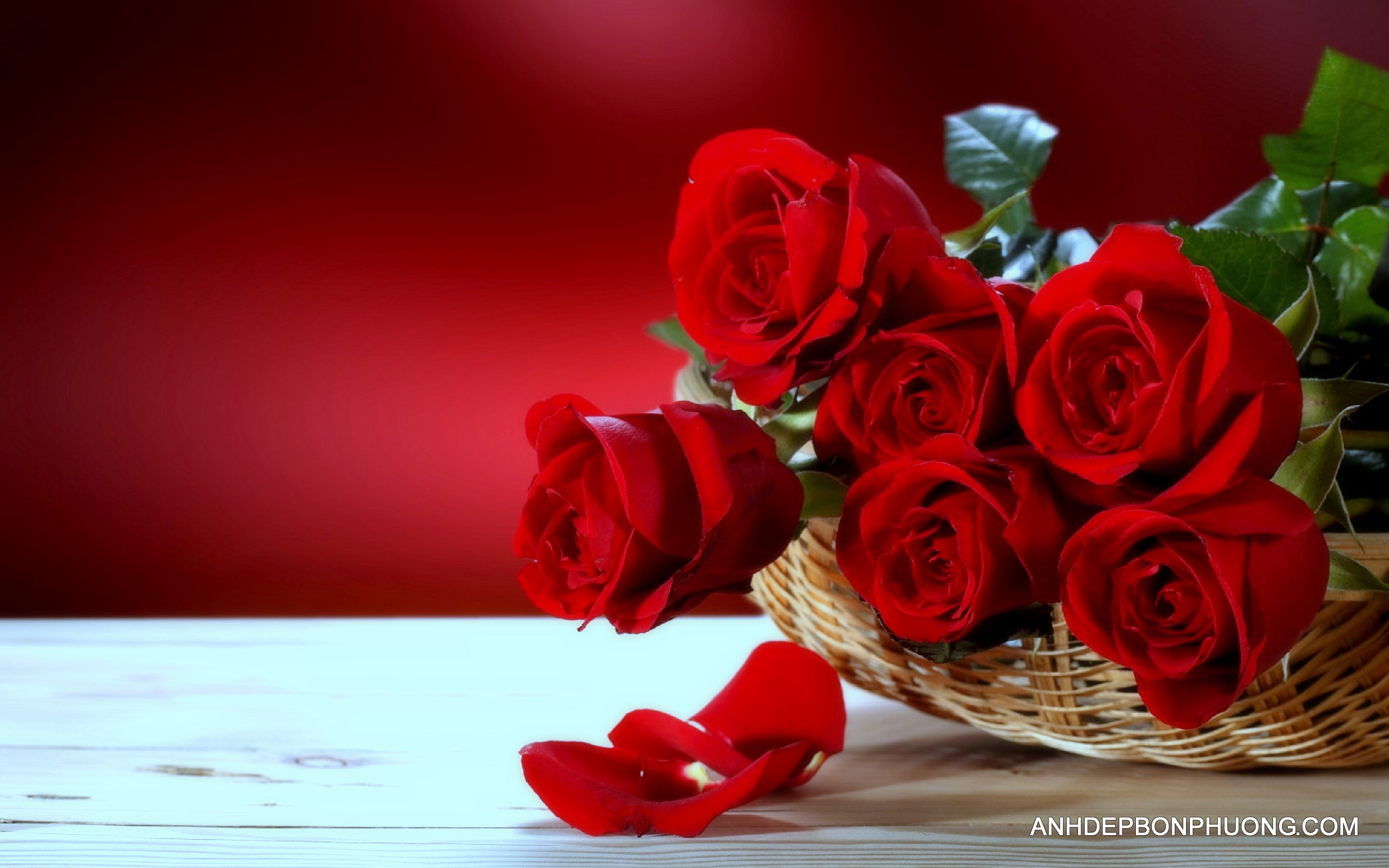 hinh-anh-hoa-hong-mau-hong-dep-lang-man-beautiful-red-roses-bouquet-wallpaper