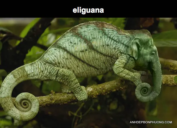 hinh-anh-nghe-thuat-photoshop-hai-huoc