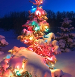 Những hình ảnh noel đẹp nhất, hình nền giáng sinh cho máy tính hinh-cay-thong-giang-sinh-dep-nhat-iphone-wallpaper-for-christmas-free-to-download-8