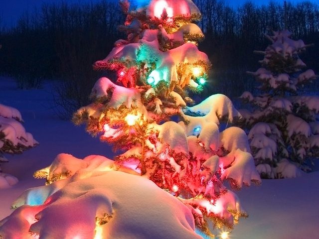 Những Hình Ảnh Noel Đẹp Nhất, Hình Nền Giáng Sinh Cho Máy Tính - Ảnh Đẹp  Bốn Phương