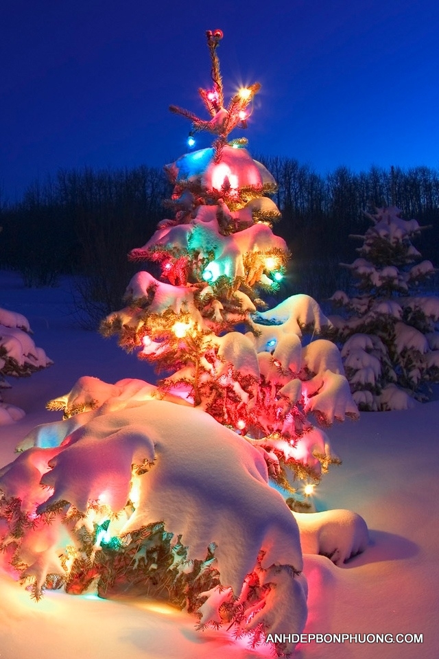 Hình ảnh Noel  Hình nền Giáng Sinh đẹp rực rỡ ấm áp
