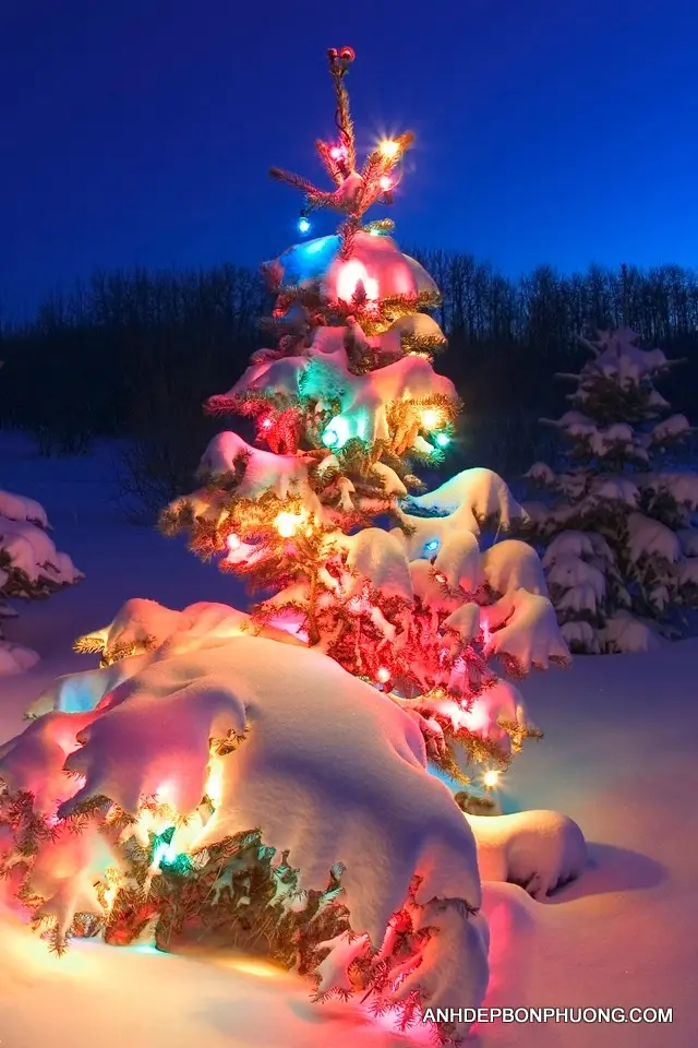 Những hình ảnh noel đẹp nhất, hình nền giáng sinh cho máy tính