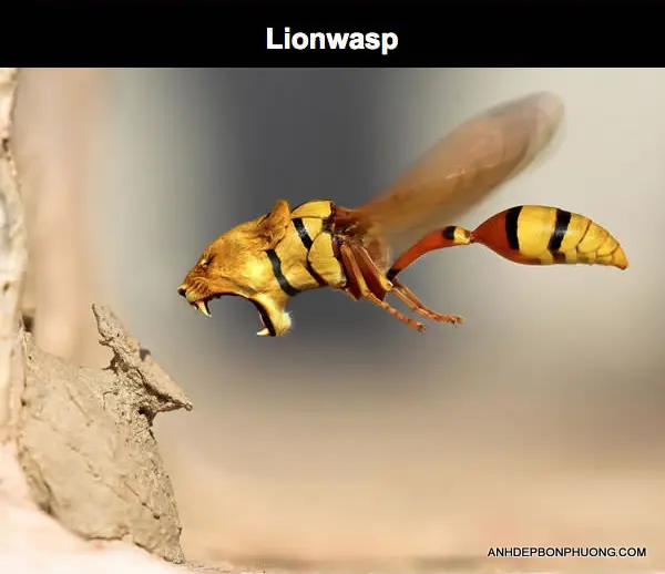 nhung-hinh-ghep-hai-huoc