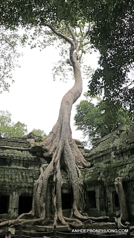 phong-canh-dep-nhat-the-gioi-chat-luong-cao