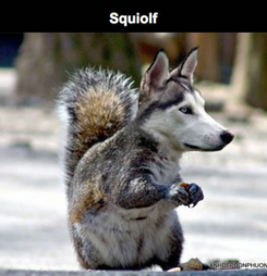 Những hình ảnh photoshop hài hước, vui nhộn, chết cười nhất trang-web-ghep-hinh-vui-nhon