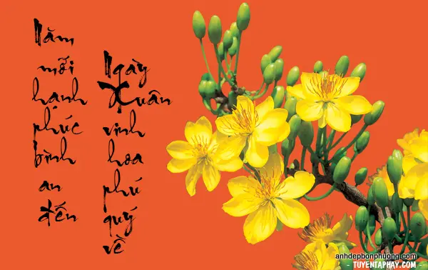 hinh-anh-nen-nhung-cau-doi-thu-phap-hay-nhat-nam-dinh-dau-34