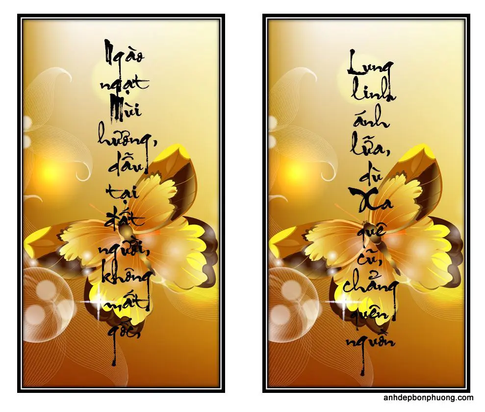 hinh-cau-doi-thu-phap-hay-chuc-mung-nam-moi-cho-samsung-galaxy-9